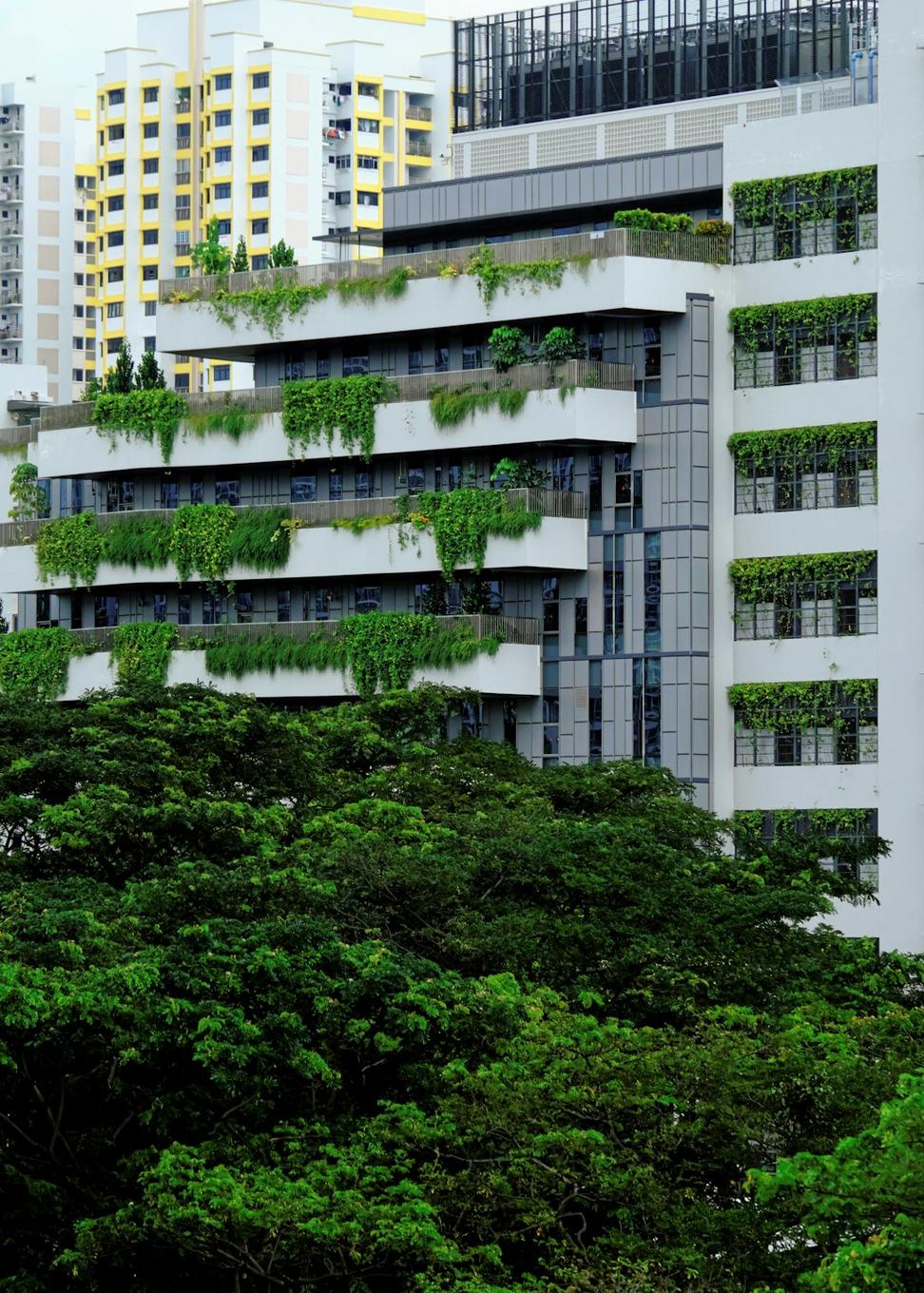 Biophilic Design